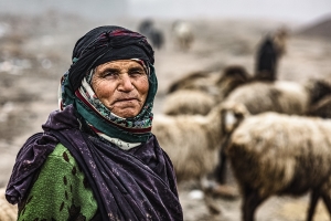 Salon.Photo Silver Medal